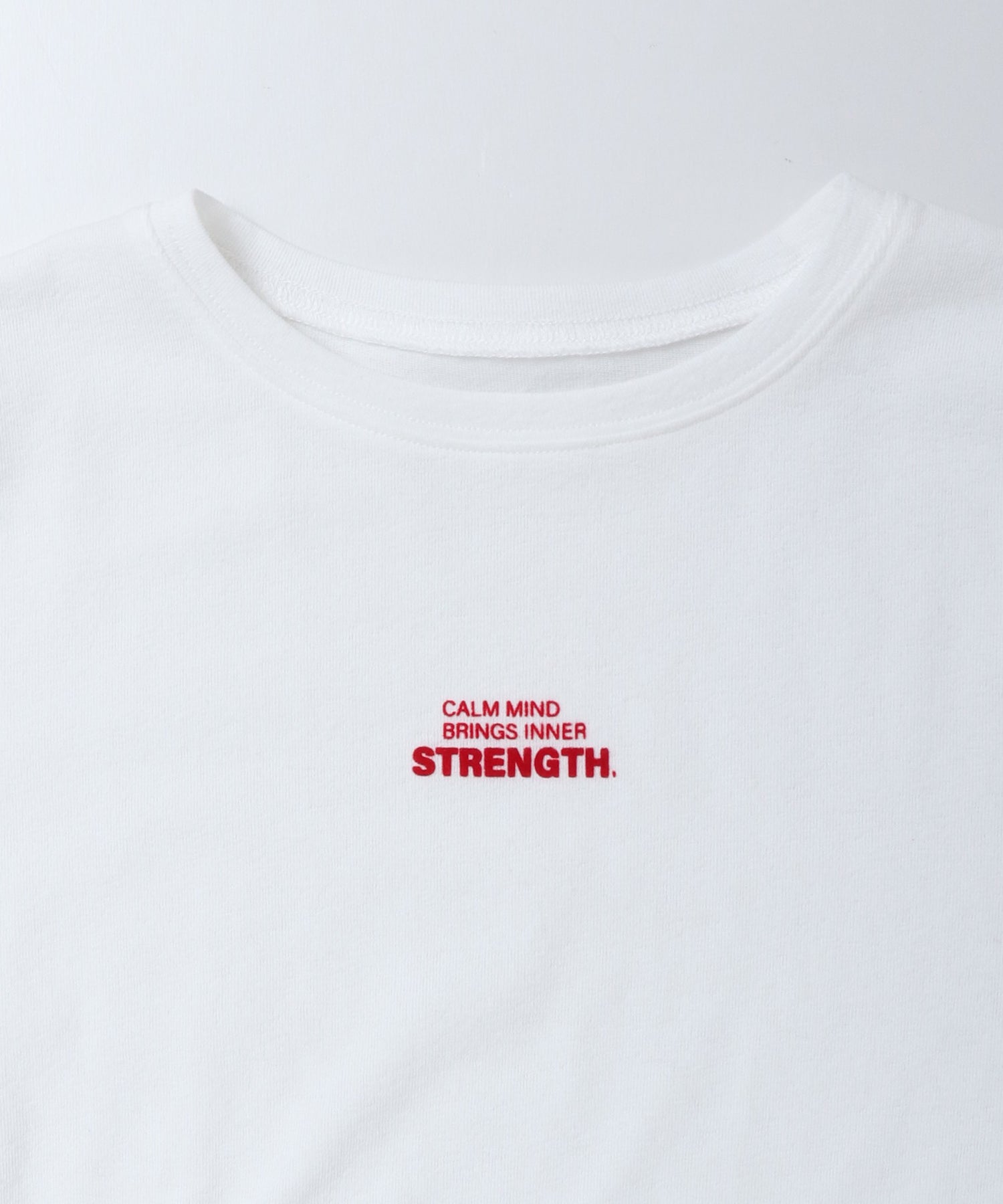 フロッキー ロゴロンT