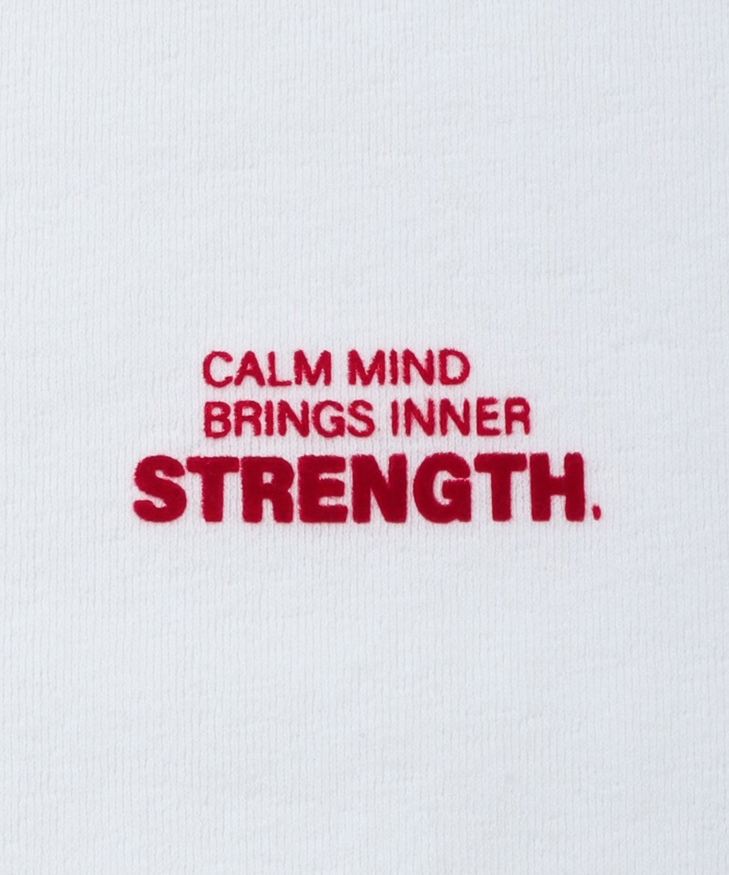 フロッキー ロゴロンT